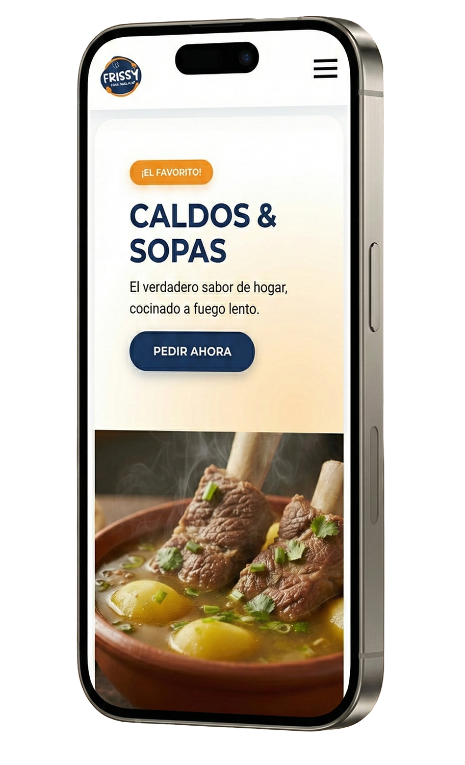 Mockup del proyecto Frissy